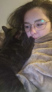 Photo de galerie - Mon chat