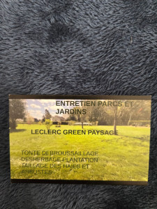 Photo de galerie - Taille de haies et d'arbustes