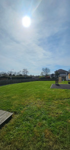 Photo de galerie - Tonte de pelouse - Débroussaillage