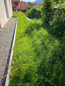 Photo de galerie - Tonte de pelouse - Débroussaillage