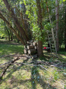 Photo de galerie - C