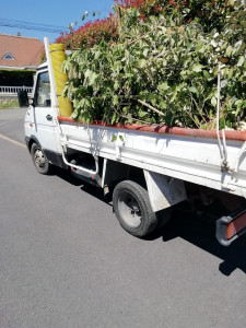 Photo de galerie - Débarras dechets verts en dechetterie