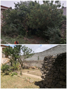 Photo de galerie - Tonte de pelouse, débroussaillage