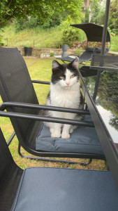 Photo de galerie - Hina.