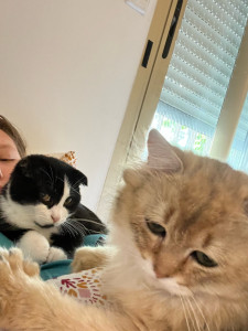 Photo de galerie - Bonjour, je m’appelle Suzon,et je propose mon service pour garder vos chats, je les traiterai comme des petits rois
