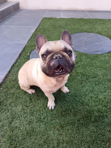 Photo de galerie - Naboo calinou !