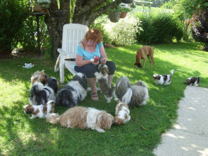 Photo de galerie - Moi , mes bb et gaia en garde