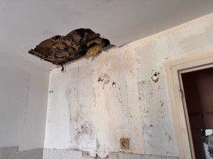 Photo de galerie - Plâtrerie - Murs - Plafonds