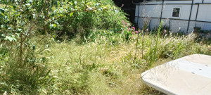 Photo de galerie - Jardin avant débroussaillage 