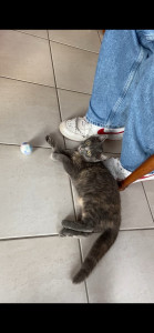 Photo de galerie - Garde Quatre