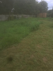 Photo de galerie - Jardinier