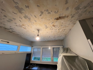 Photo de galerie - Peinture - Tapisserie