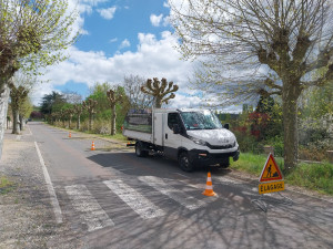 Photo de galerie - Elagage et coupe d'arbres