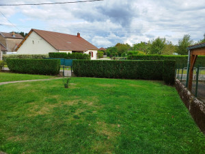 Photo de galerie - Taille de haies et d'arbustes