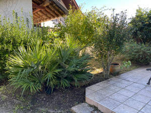 Photo de galerie - Rafraîchissement hivernal pour ce massif 