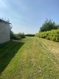 Photo de galerie - Tonte de pelouse - Débroussaillage