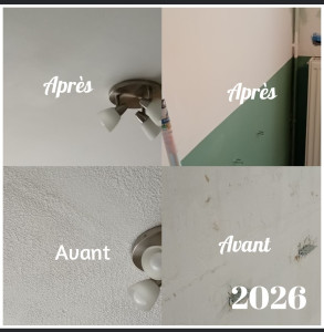 Photo de galerie - Ratissage et mise en peinture. 