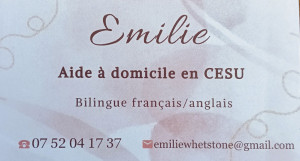 Photo de galerie - AIDE MÉNAGÈRE EXPÉRIMENTÉE ET SERIEUSE, JE PROPOSE MES SERVICES SUR AIGONDIGNÉ ET LES COMMUNES VOISINES DANS UN RAYON DE 15KM.

