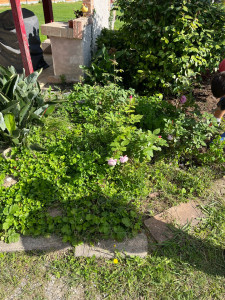 Photo de galerie - Jardinier