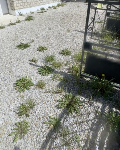 Photo de galerie - Jardinier