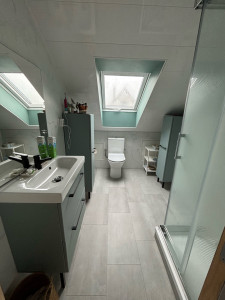 Photo de galerie - Nettoyage salle de bain + toilette 