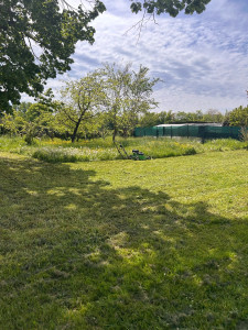 Photo de galerie - Débroussaillage 