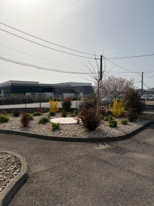 Photo de galerie - Entretien d’un massif 