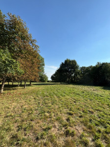 Photo de galerie - Tonte d’une prairie avec des herbe haute de 70cm environs 