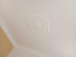 Photo de galerie - Peinture 