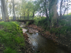 Photo de galerie - Photo d'un cours d'eau 