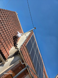 Photo de galerie - Couverture - Toiture