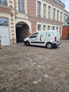 Photo de galerie - Tonte de pelouse - Débroussaillage