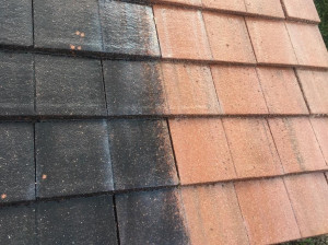 Photo de galerie - Traitement fongicide suivis d'un décapage basse pression en vue d'éliminer toutes moisissures et lichens sur la toiture de notre client