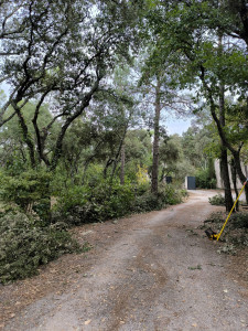 Photo de galerie - Suite