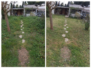 Photo de galerie - Avant après 