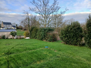 Photo de galerie - Taille de haies et d'arbustes