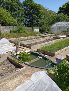 Photo de galerie - Aménagement jardin potager et entretien 