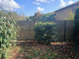 Photo de galerie - Taille de haie 