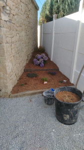 Photo de galerie - Aménagements de massifs 