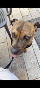 Photo de galerie - Oggy?