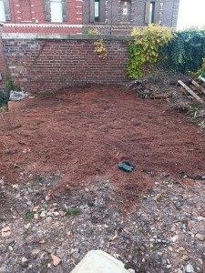 Photo de galerie - Elagage et coupe d'arbres