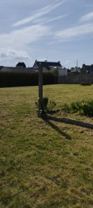 Photo de galerie - Remise en état d'un jardin un peu oublié 