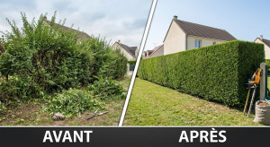 Photo de galerie - Pour rafraîchir vôtre jardin est le rendre plus agréable faites appelle a nos services. 