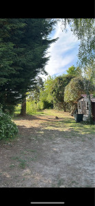 Photo de galerie - Nettoyage complet d’un jardin