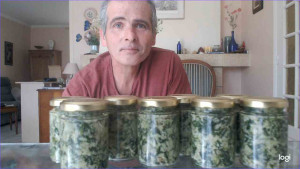 Photo de galerie - Pesto d'ail des ours