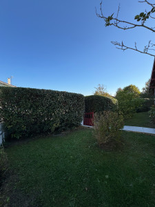 Photo de galerie - Taille de haie 