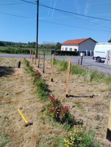 Photo de galerie - Pose de poteaux en bois pour  une clôture.