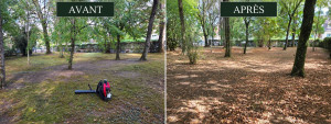Photo de galerie - Nettoyage complet du jardin et ramassage des feuilles mortes pour retrouver un extérieur propre et soigné.