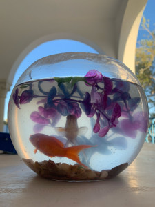 Photo de galerie - ??