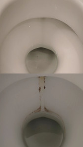 Photo de galerie - Détartrage sanitaire 
